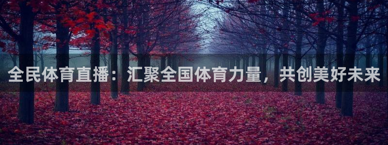 全民体育直播：汇聚全国体育力量，共创美好未来