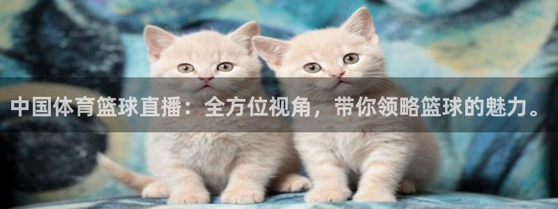 中国体育篮球直播：全方位视角，带你领略篮球的魅力。